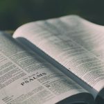 Facing Loss Through The Psalms—An Introduction